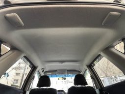 HONDA FIT G SMART SELECTION 2010 full