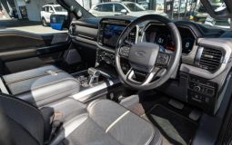 Ford F-150 Platinum 2021 full