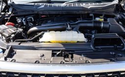 Ford F-150 Platinum 2021 full