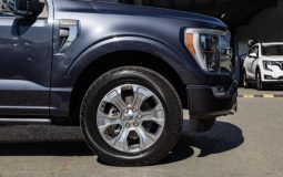 Ford F-150 Platinum 2021 full