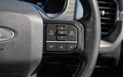 Ford F-150 Platinum 2021 full