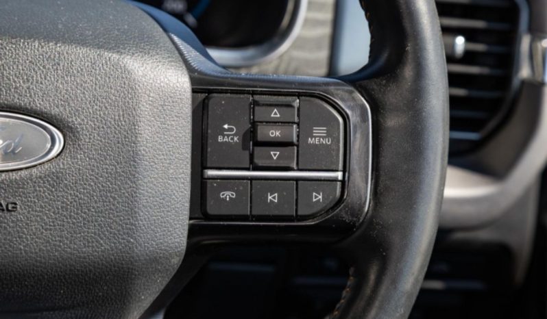 Ford F-150 Platinum 2021 full