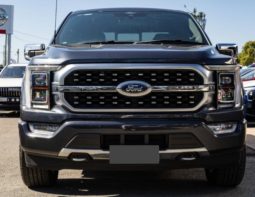 Ford F-150 Platinum 2021 full