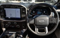 Ford F-150 Platinum 2021 full