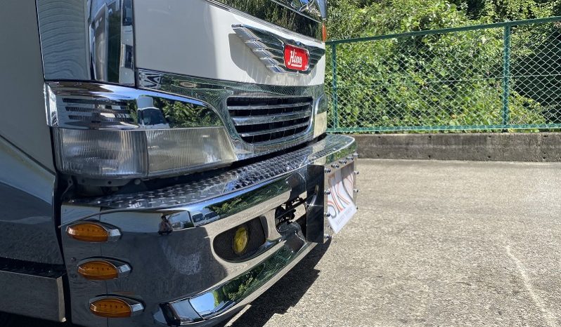 HINO DUTRO 1999 full