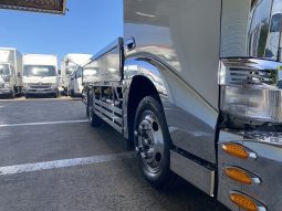 HINO DUTRO 1999 full