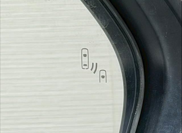 TOYOTA C-HR G 2017 full