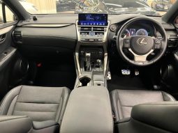 LEXUS NX NX300 F SPORT 2018 full
