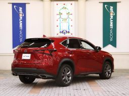 LEXUS NX NX300 F SPORT 2018 full