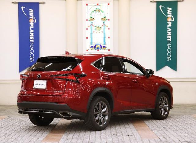 LEXUS NX NX300 F SPORT 2018 full