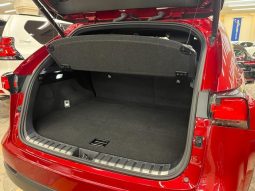 LEXUS NX NX300 F SPORT 2018 full