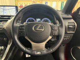 LEXUS NX NX300 F SPORT 2018 full