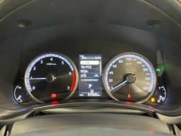 LEXUS NX NX300 F SPORT 2018 full