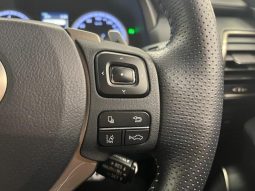 LEXUS NX NX300 F SPORT 2018 full