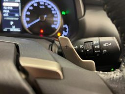 LEXUS NX NX300 F SPORT 2018 full