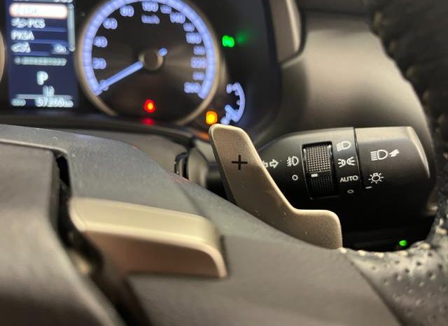 LEXUS NX NX300 F SPORT 2018 full