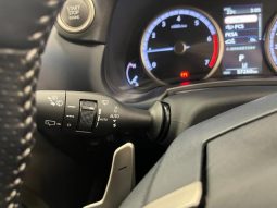 LEXUS NX NX300 F SPORT 2018 full