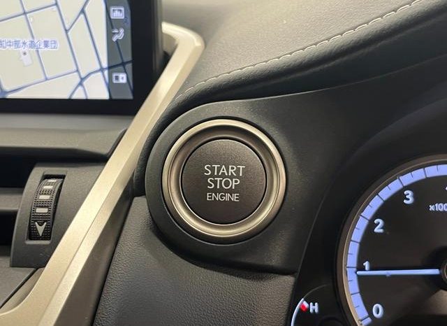 LEXUS NX NX300 F SPORT 2018 full