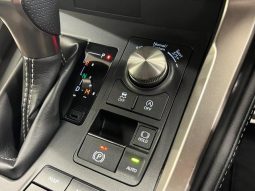 LEXUS NX NX300 F SPORT 2018 full