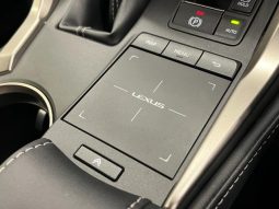 LEXUS NX NX300 F SPORT 2018 full