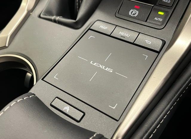 LEXUS NX NX300 F SPORT 2018 full