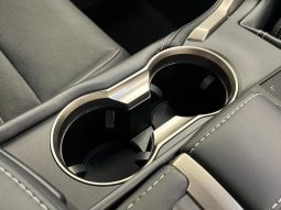 LEXUS NX NX300 F SPORT 2018 full