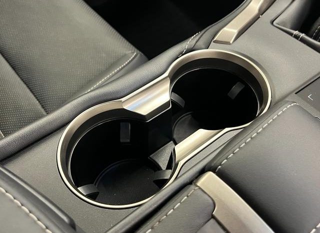 LEXUS NX NX300 F SPORT 2018 full