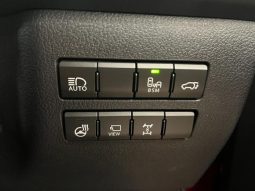 LEXUS NX NX300 F SPORT 2018 full