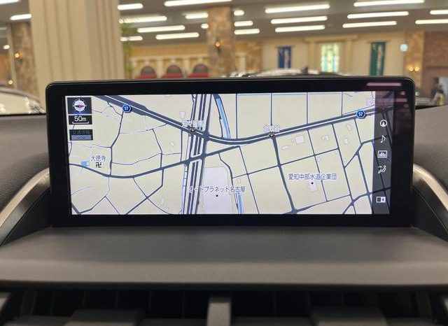 LEXUS NX NX300 F SPORT 2018 full