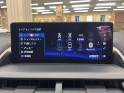 LEXUS NX NX300 F SPORT 2018 full