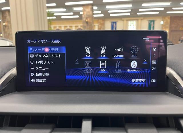 LEXUS NX NX300 F SPORT 2018 full