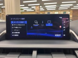 LEXUS NX NX300 F SPORT 2018 full