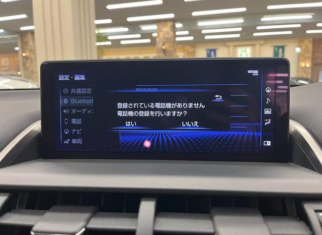 LEXUS NX NX300 F SPORT 2018 full