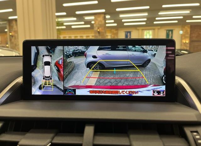 LEXUS NX NX300 F SPORT 2018 full