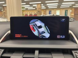 LEXUS NX NX300 F SPORT 2018 full