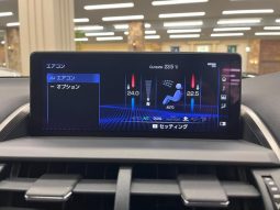 LEXUS NX NX300 F SPORT 2018 full