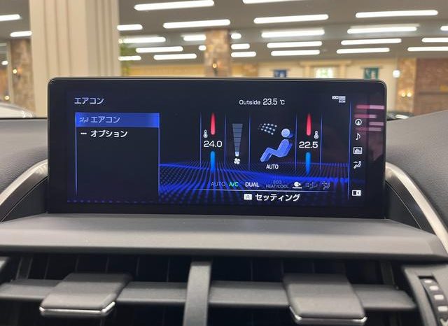 LEXUS NX NX300 F SPORT 2018 full