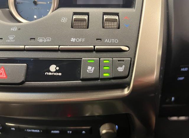 LEXUS NX NX300 F SPORT 2018 full