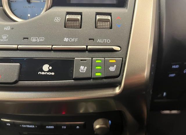 LEXUS NX NX300 F SPORT 2018 full