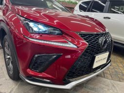 LEXUS NX NX300 F SPORT 2018 full