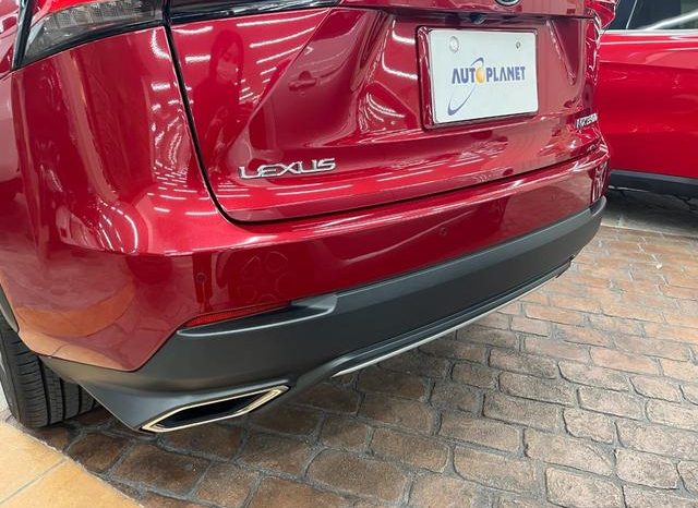 LEXUS NX NX300 F SPORT 2018 full