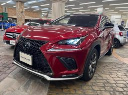 LEXUS NX NX300 F SPORT 2018 full