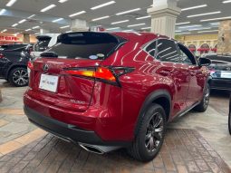 LEXUS NX NX300 F SPORT 2018 full