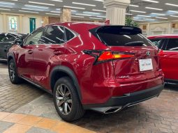 LEXUS NX NX300 F SPORT 2018 full