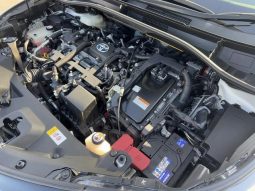 TOYOTA C-HR G 2019 full