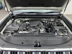 TOYOTA LAND CRUISER PRADO TX 2019 full