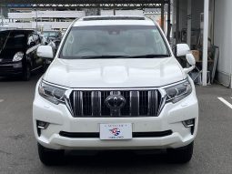 TOYOTA LAND CRUISER PRADO TX 2019 full
