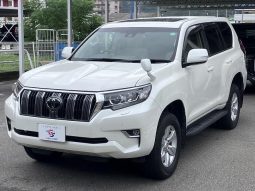TOYOTA LAND CRUISER PRADO TX 2019 full