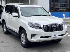 TOYOTA LAND CRUISER PRADO TX 2019