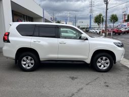 TOYOTA LAND CRUISER PRADO TX 2019 full